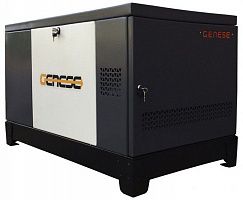 Газовый генератор Genese Pro 22000 T Neva в кожухе ДизельЭнергоРесурс